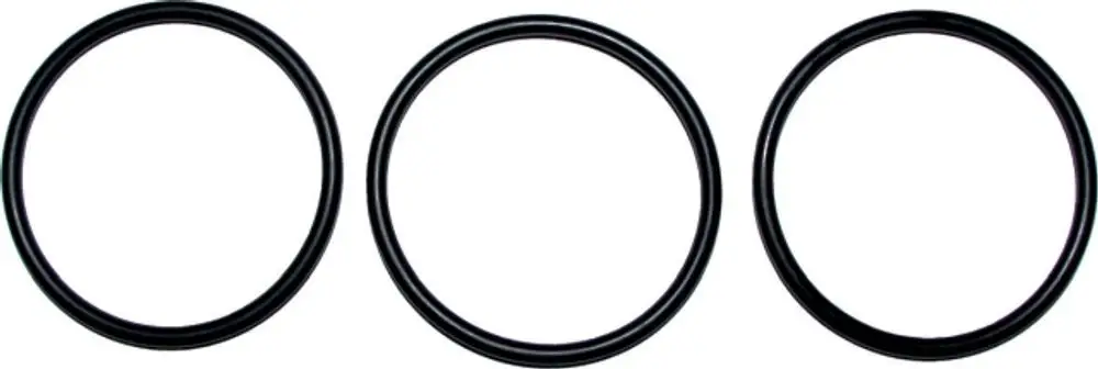 Drei schwarze O-Ringe nebeneinander. Die Ringe scheinen für spezifische Anwendungen ausgelegt zu sein. Sie könnten Teil eines Systems von Wolf sein.
